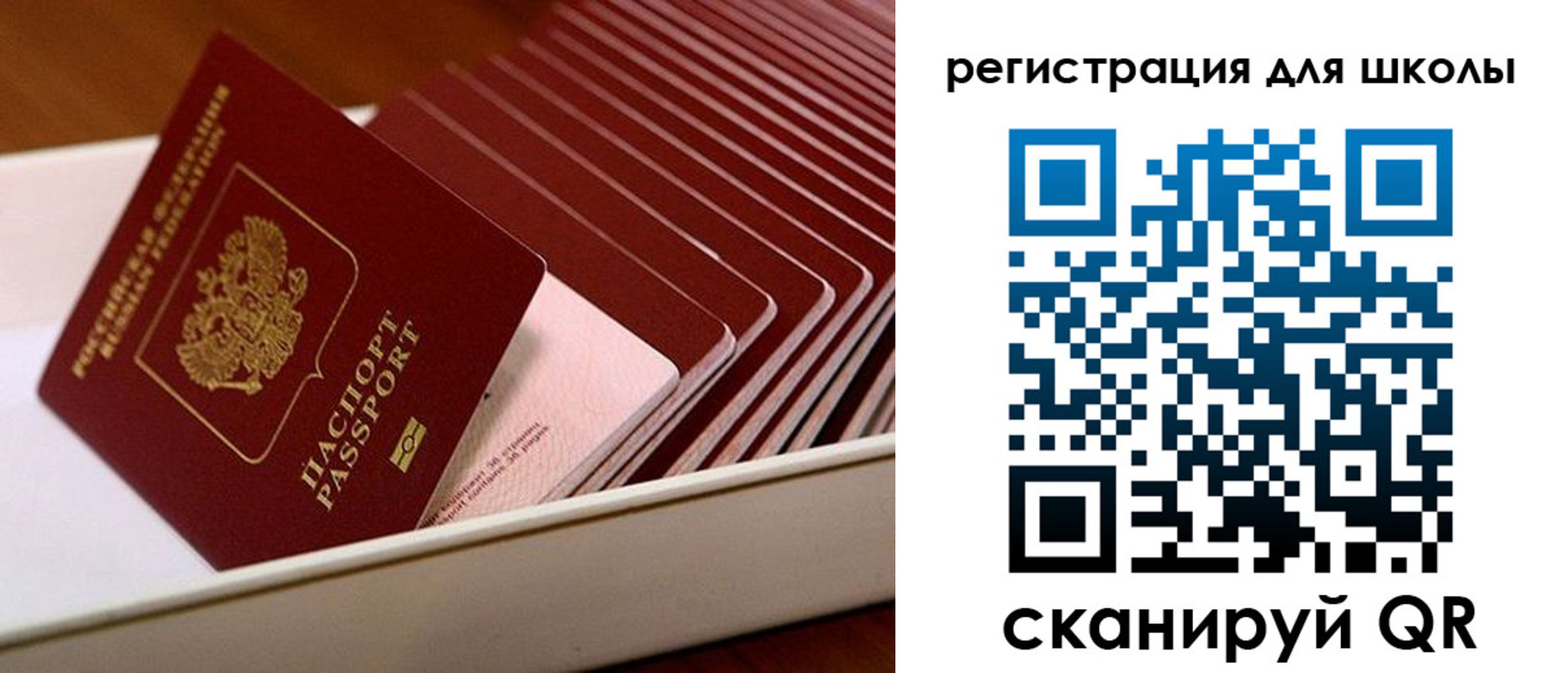 прописка гарантия в Куйбышеве